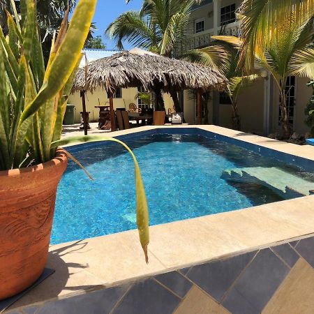 My Own Paradise Resort Bonaire Кралендижк Екстериор снимка